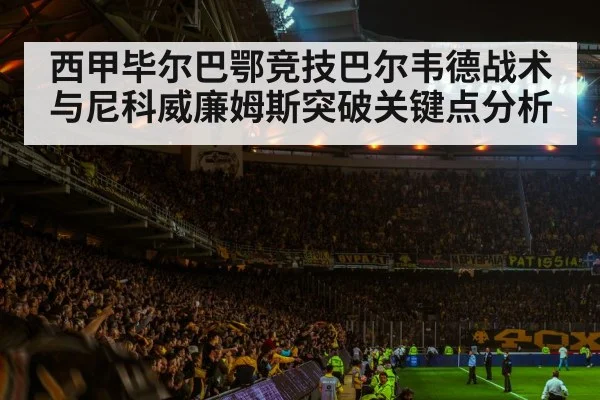 football stadium night crowd